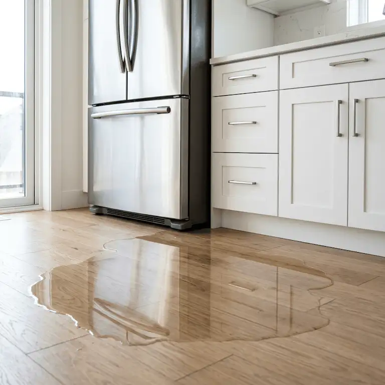 leaking_fridge